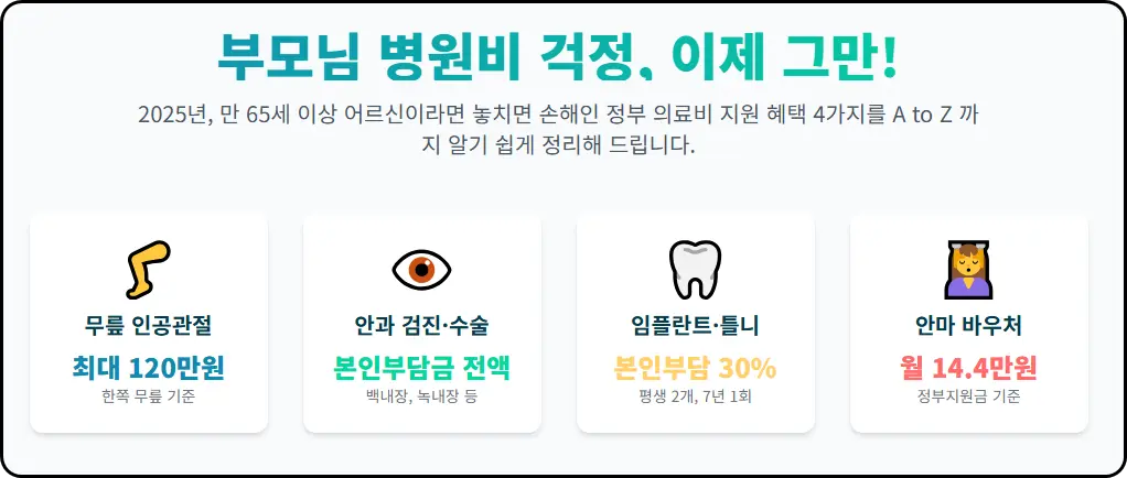 부모님 병원비 부담을 덜어드리는 국가 지원 혜택-노인 의료비 지원